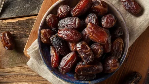 قیمت خرید خرما کبکاب اصل + فروش ویژه